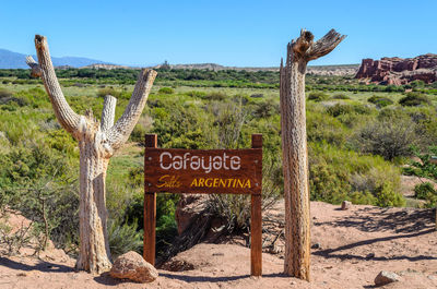 Sign for cafayate surrounded by dead, dried cactus near cafayate, salta, argentina.