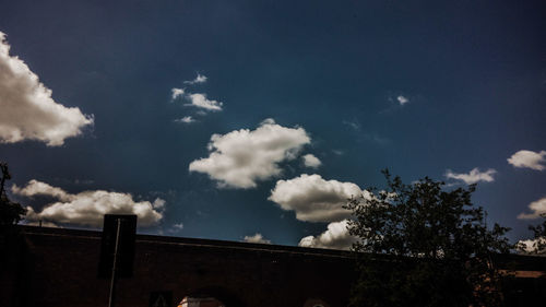 Low angle view of trees against sky