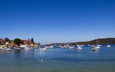 Sailboats moored in marina against clear blue sky