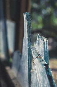 Close-up of ice on wooden post