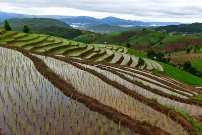 Scenic view of agricultural field against mountain range