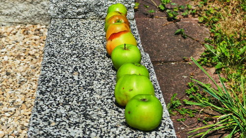 High angle view of bananas on rock