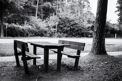 Table and trees on landscape