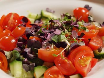 Close-up of chopped vegetables in plate