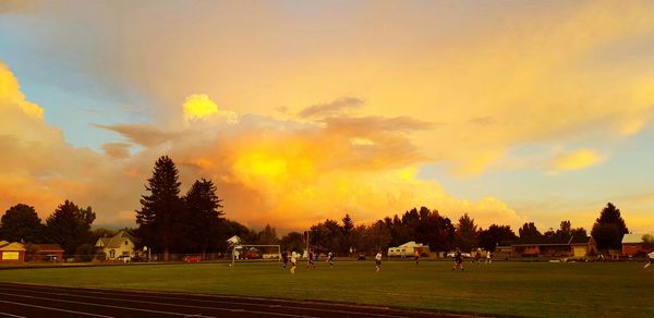 Trees on field at sunset