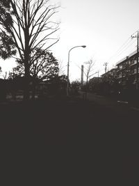 Street light and bare trees against sky