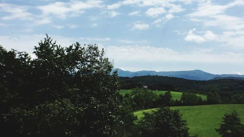 Scenic view of landscape against cloudy sky