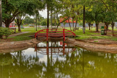 Scenic view of lake in park