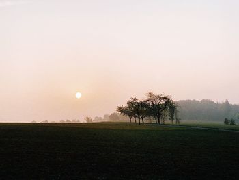 Trees on field against sky during sunset