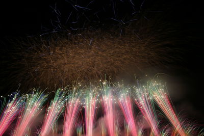 Low angle view of firework display at night