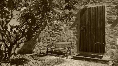 Empty bench against plants in abandoned building