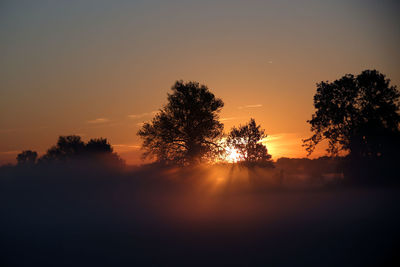 Silhouette trees against sky during sunset