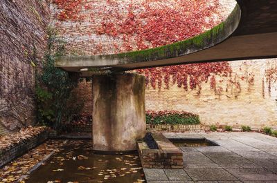 Tree in front of built structure