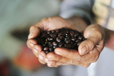 Close-up of hand holding fruit