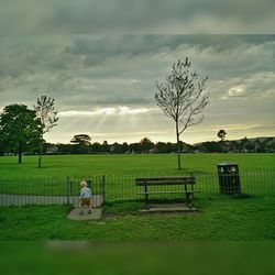 Trees on grassy field against cloudy sky