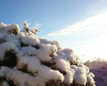 Low angle view of trees against cloudy sky