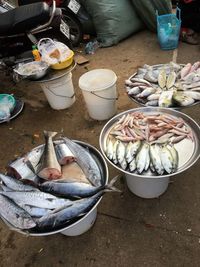 High angle view of fish on table