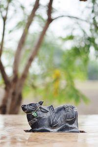 Close-up of shoes on wooden table