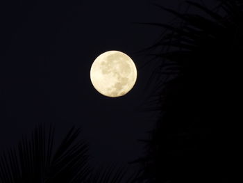 Low angle view of moon in sky at night