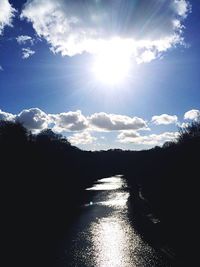 Sun shining through trees