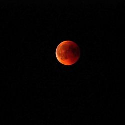 Orange moon against sky at night