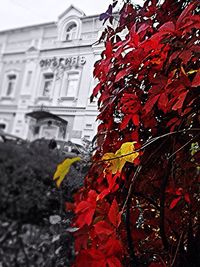 Buildings in city