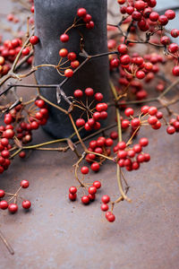 Close-up of red berries growing on tree