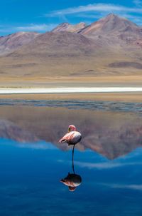 Scenic view of lake by mountain against sky