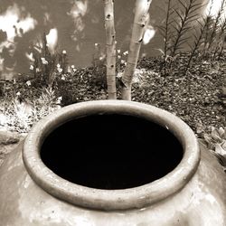 Close-up of coffee cup