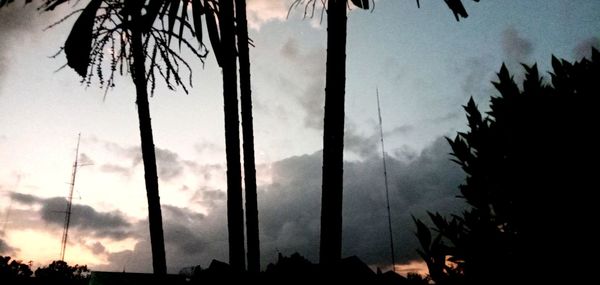 Low angle view of silhouette trees against sky at sunset
