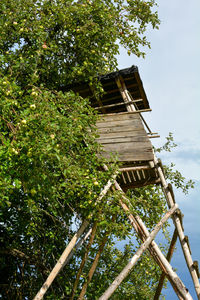 Low angle view of tree by building against sky