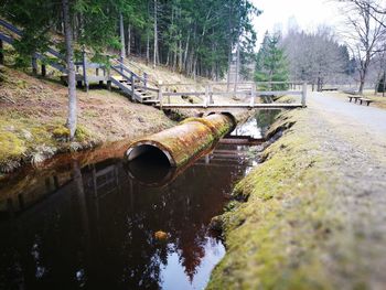 Scenic view of water by trees against sky