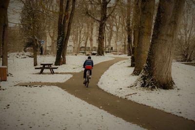 Rear view of man riding bicycle on road