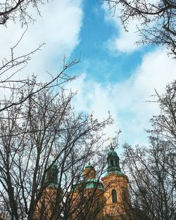 Low angle view of birds against sky