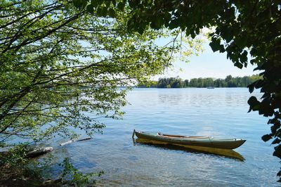 Scenic view of lake against trees