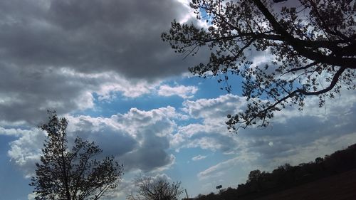 Low angle view of trees against cloudy sky