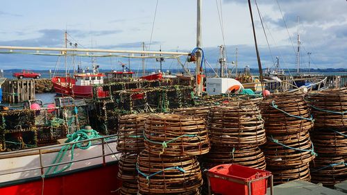 Lobster traps and crab pots at harbor