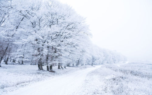 Scenic view of snow covered land