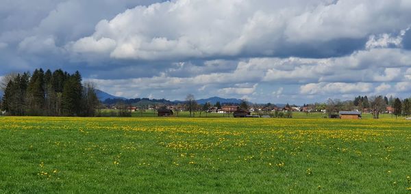 Scenic view of field against cloudy sky