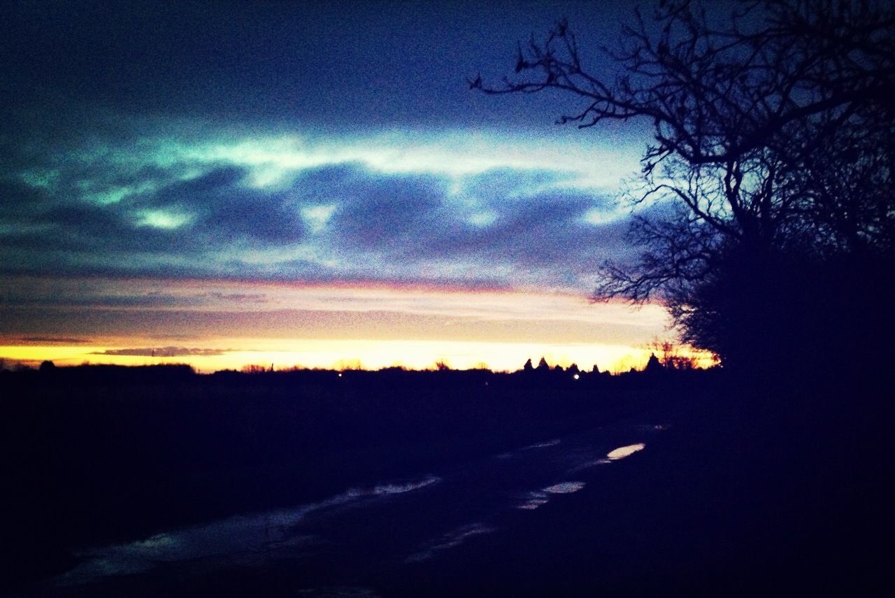 Wicken Fen National Nature Reserve