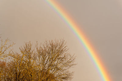 Scenic view of rainbow against sky