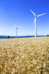 renewable energy