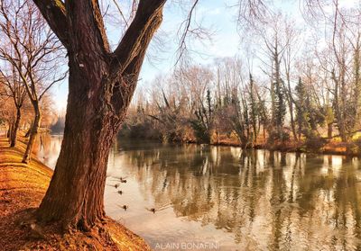 Bare trees by lake against sky