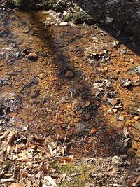 High angle view of rocks on field