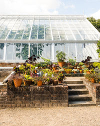 Potted plants growing in greenhouse against sky