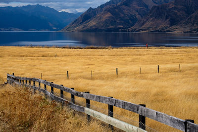 Determined hiker on the shores of lake hawea, south island new zealand