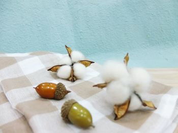 Tree fruit on checkered towel