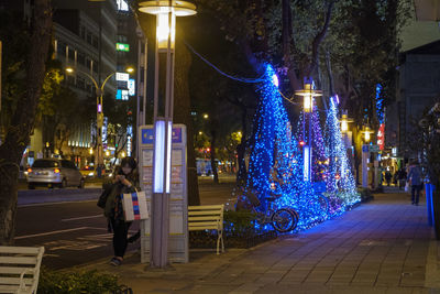 Illuminated christmas tree on street in city at night