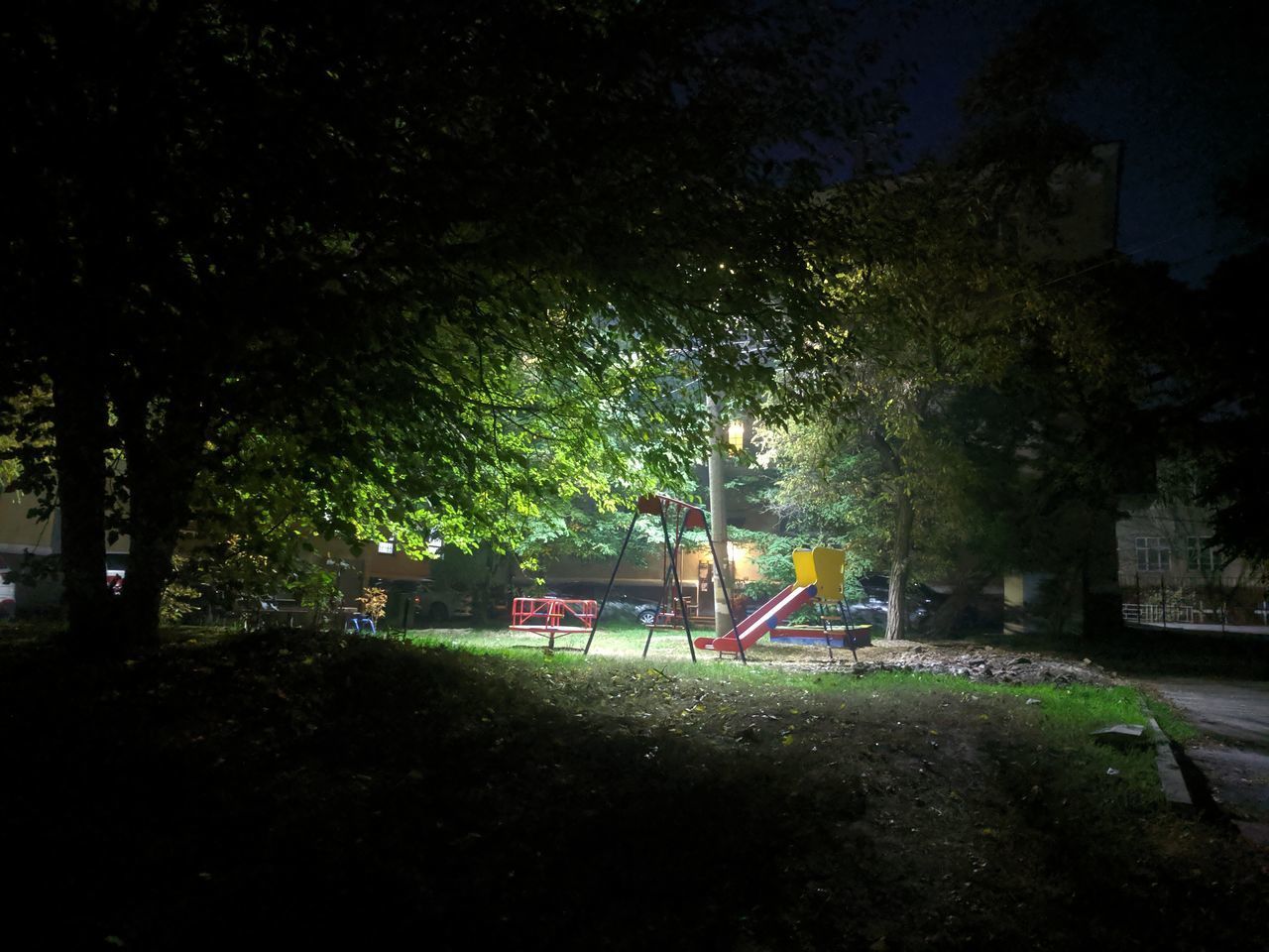 TREES AND PLANTS ON FIELD IN PARK