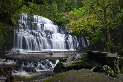 Scenic view of waterfall in forest